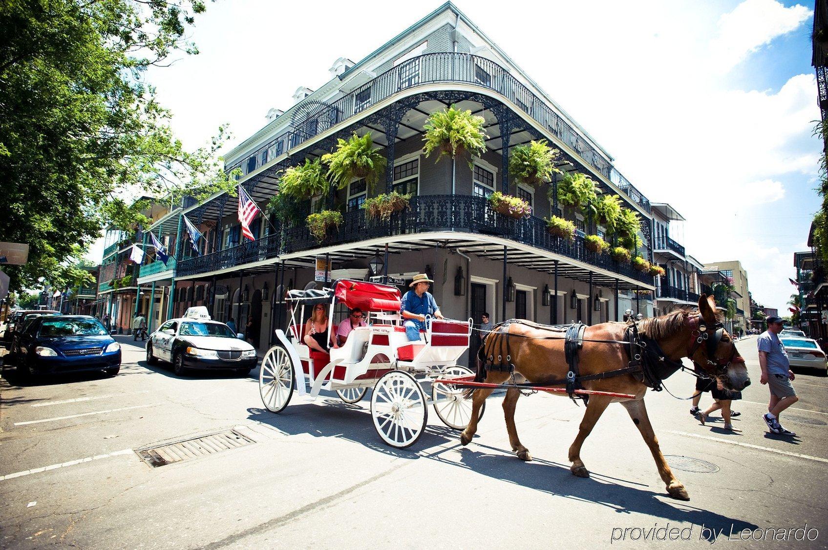 HOTEL ROYAL NEW ORLEANS НОВЫЙ ОРЛЕАН, LA 3* (США) - от 18644 RUB | NOCHI